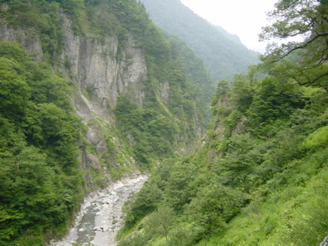 白山スパー林道　渓谷１